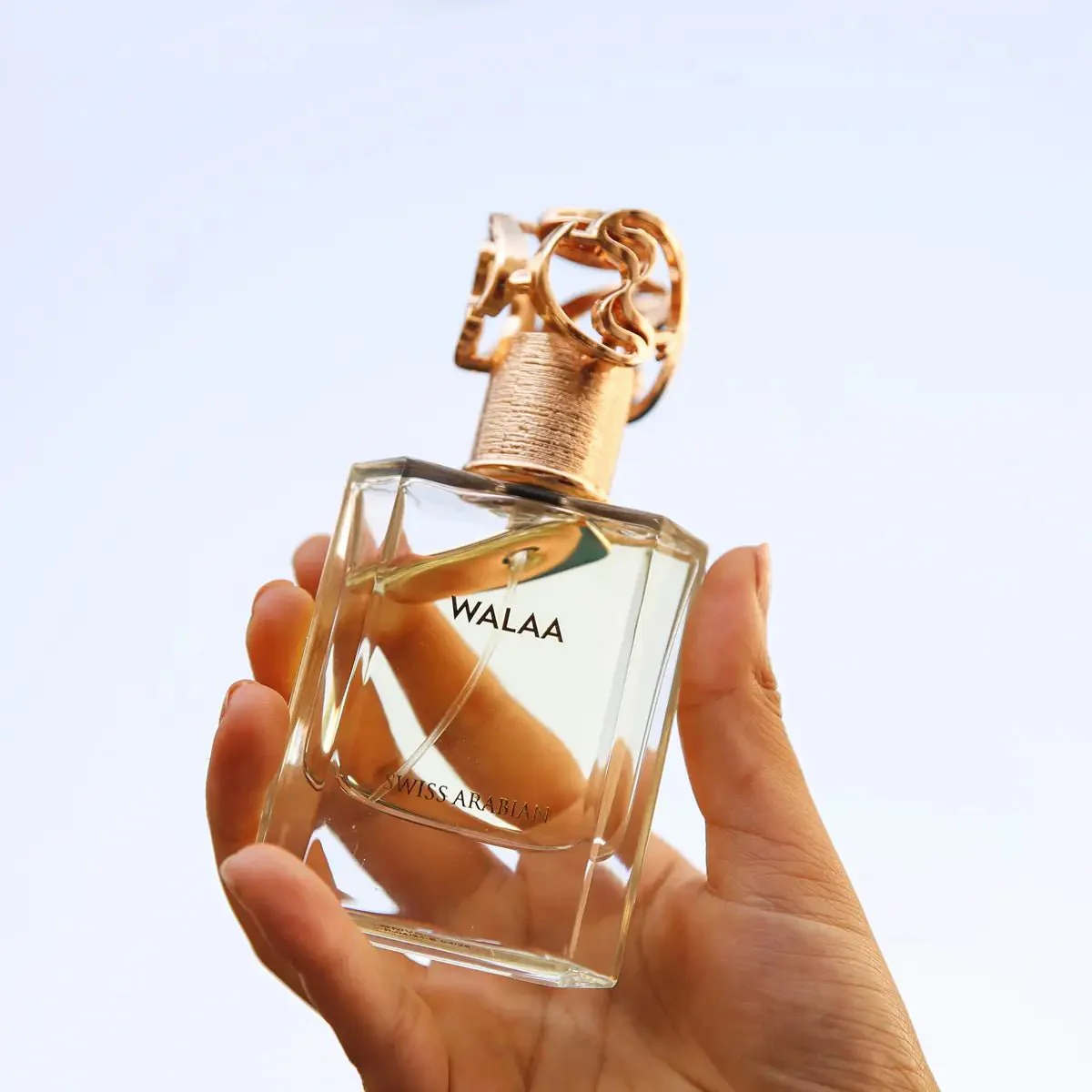 WALAA - Image 5